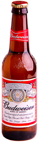 Budweiser Beer Bottle