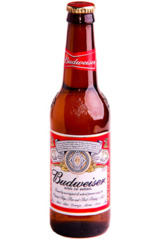 Budweiser Beer Bottle